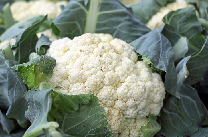 种植花菜使用喜锐施水溶肥的效果