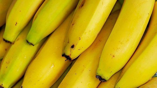 如何帮助香蕉安全越冬？