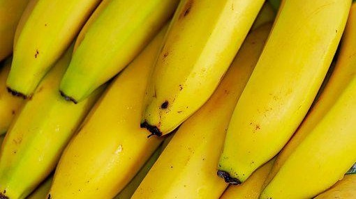 香蕉裂果怎么办？香蕉裂果原因