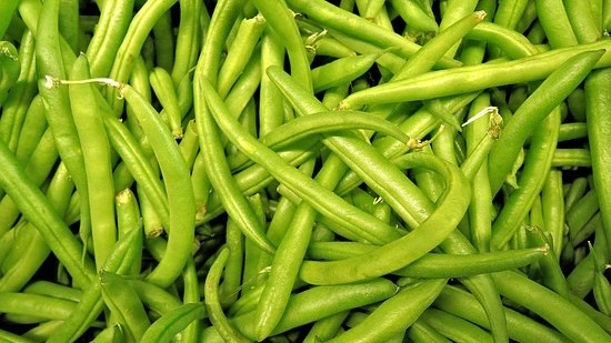 四季豆的种植栽培方法！四季豆的高产用肥方法！