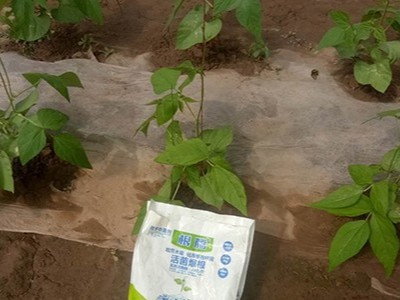 微生物菌剂有什么​用？