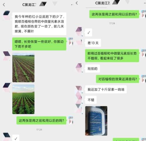 万大哥种植赤小豆用喜锐施水溶肥效果好