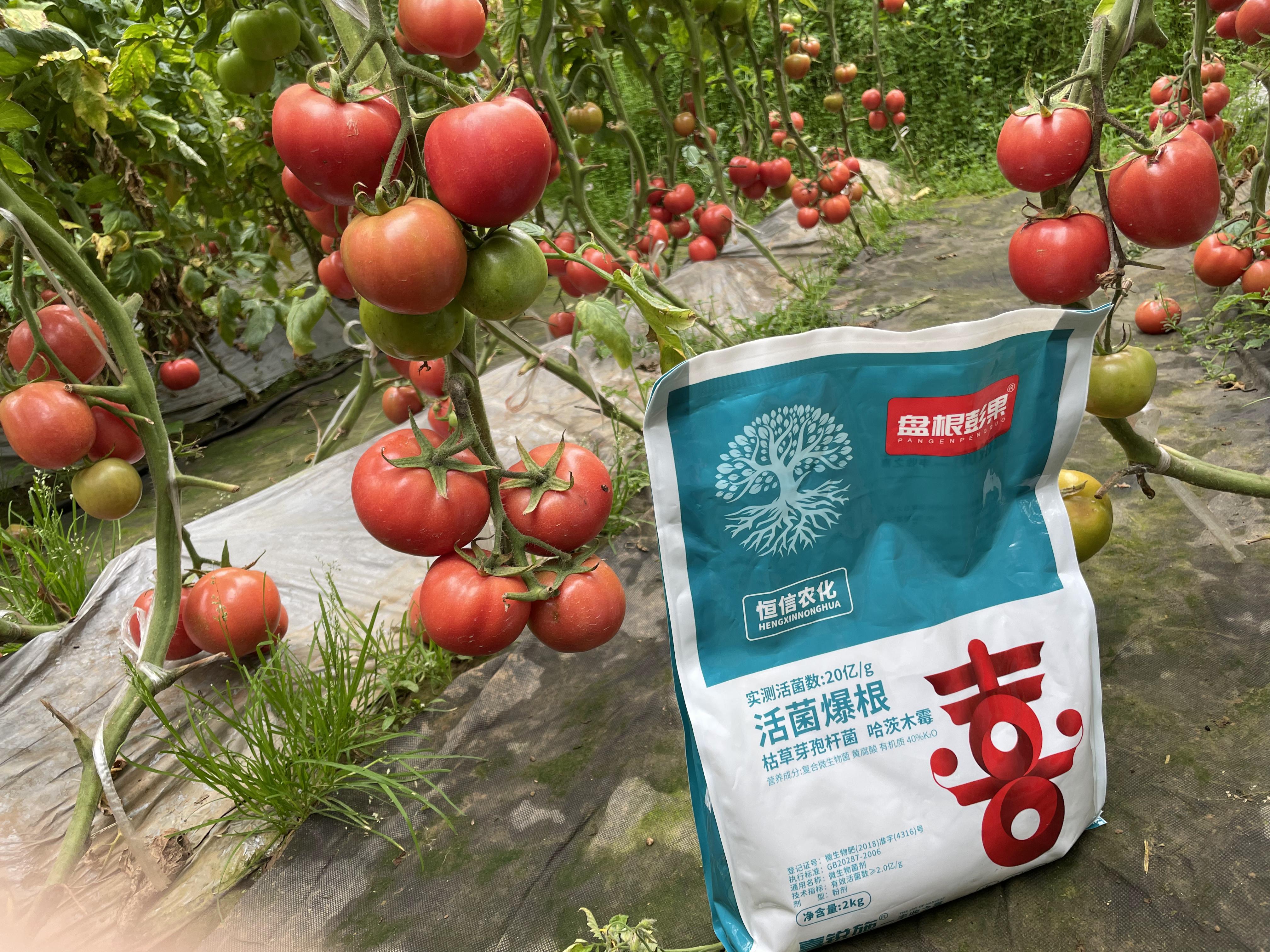 水溶肥用​什么好？