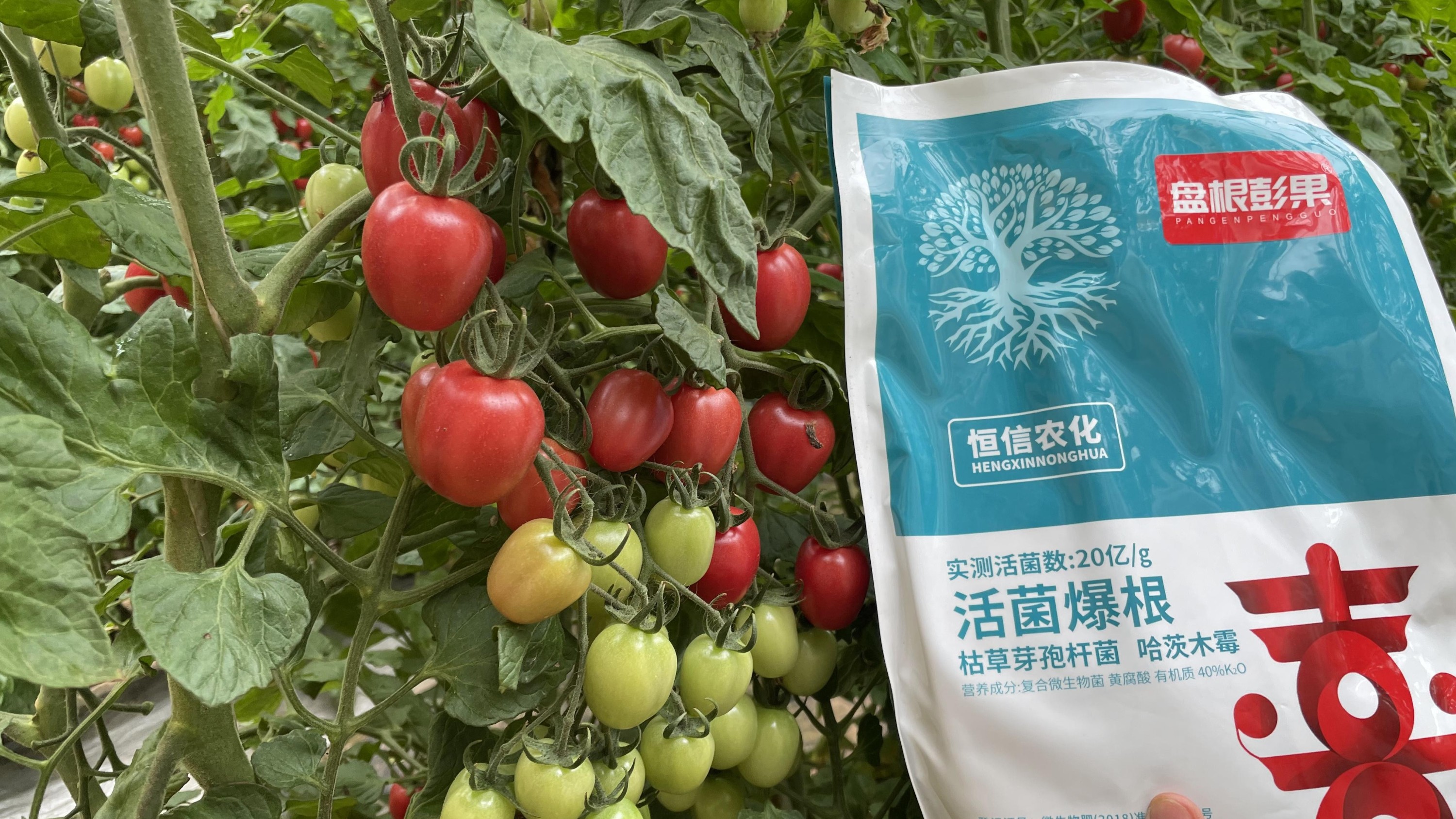 微生物菌剂​使用注意哪些？