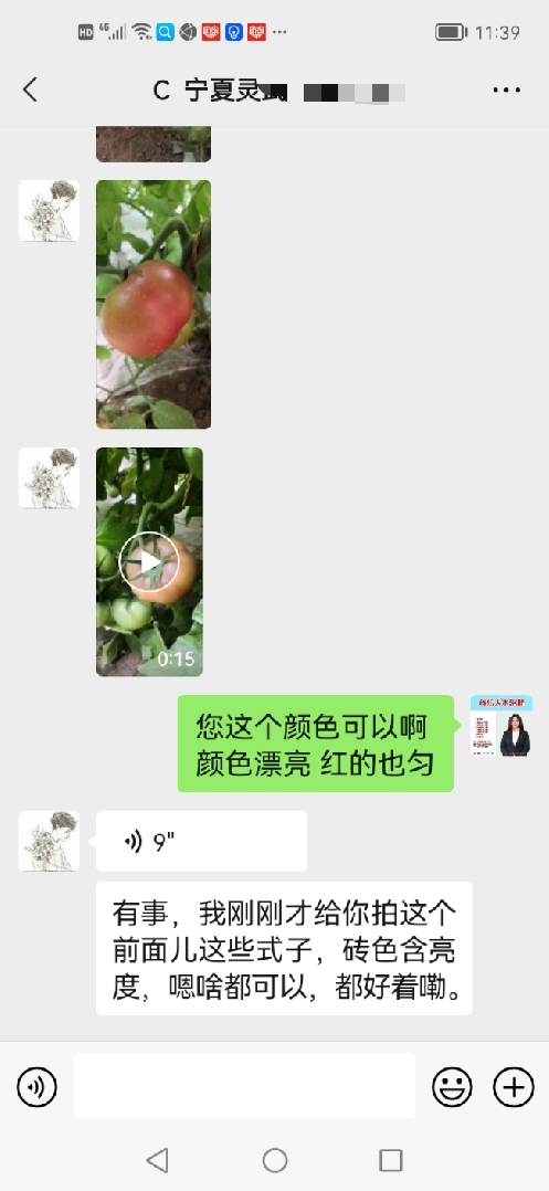 使用喜锐施在番茄上