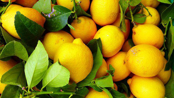 柠檬的种植技术，柠檬高产怎么用肥？