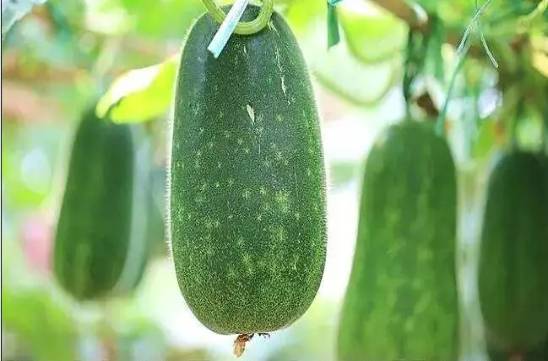 喜锐施水溶肥