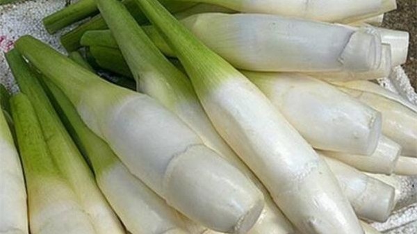 茭白如何​追肥？
