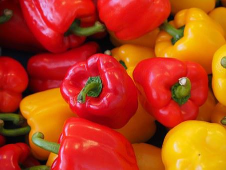 种植甜椒使用喜锐施叶面肥的效果